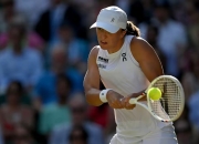 开云体育官方网站-包含温网绝杀戴维斯杯，西西帕斯关键制胜的词条