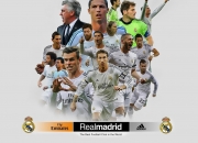 开云体育app-卡马文加的个人交响曲，在波兰与爱尔兰的战术棋盘上，他如何成为唯一的指挥家