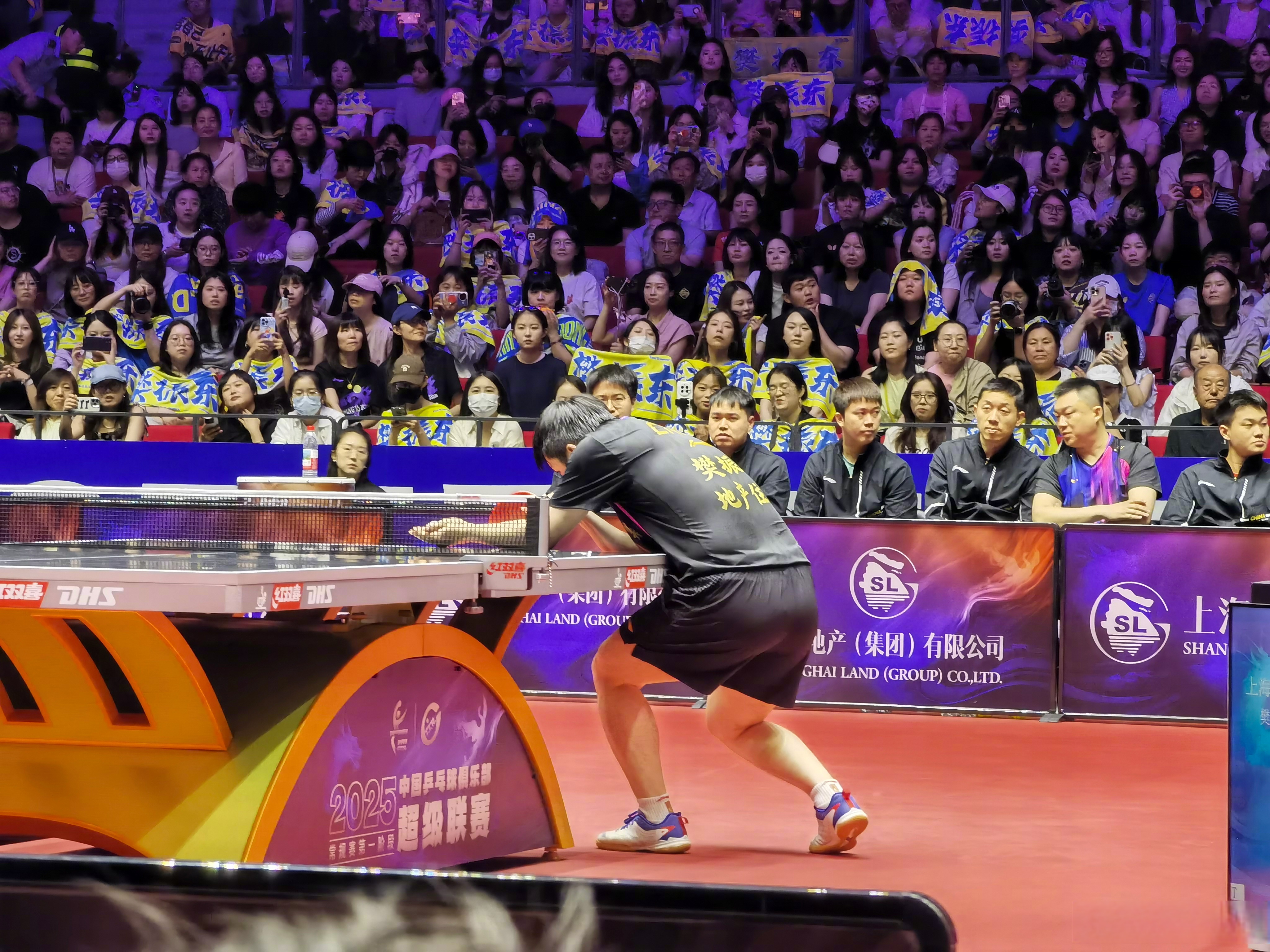 体育风云再起，赛场上的惊喜和感动的简单介绍