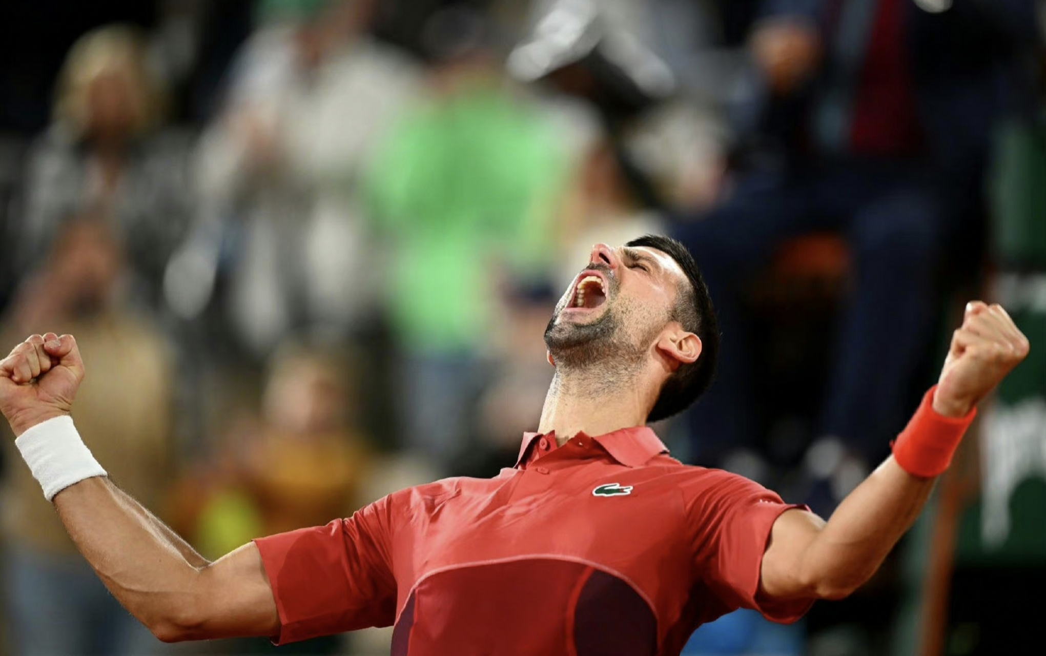 法网轻取戴维斯杯，德约科维奇刷新纪录的简单介绍