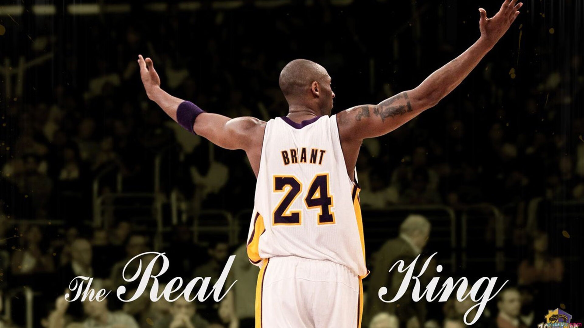 文班亚马的觉醒时刻,猛龙对阵凯尔特人关键节点连续得分改写比赛走向